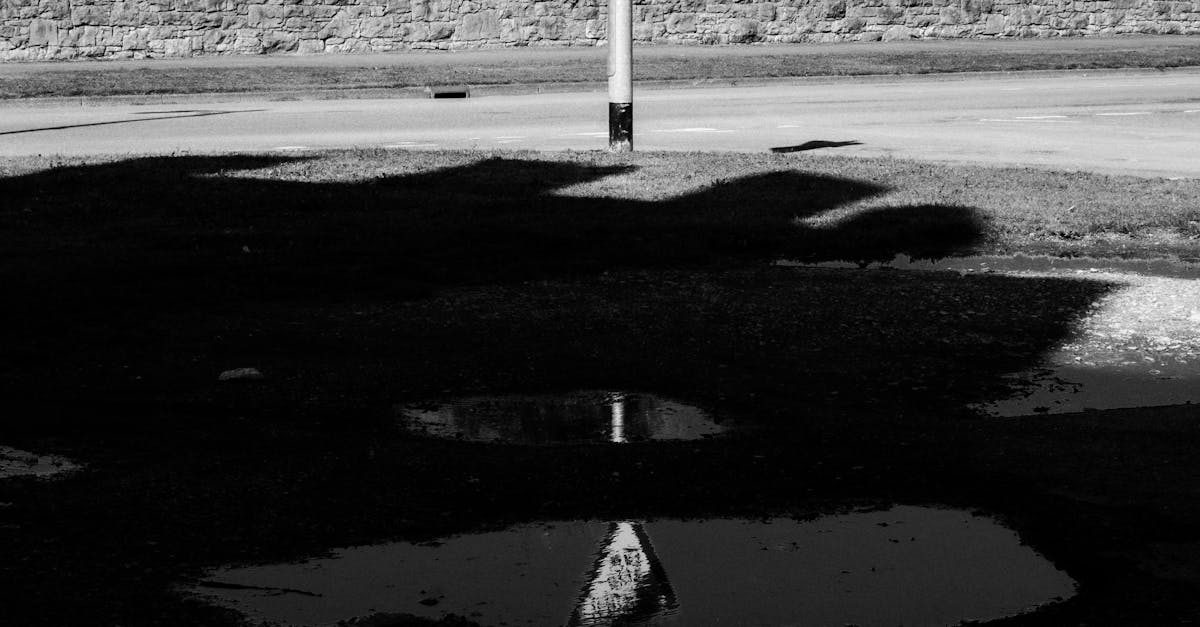 Do home stagers need insurance?