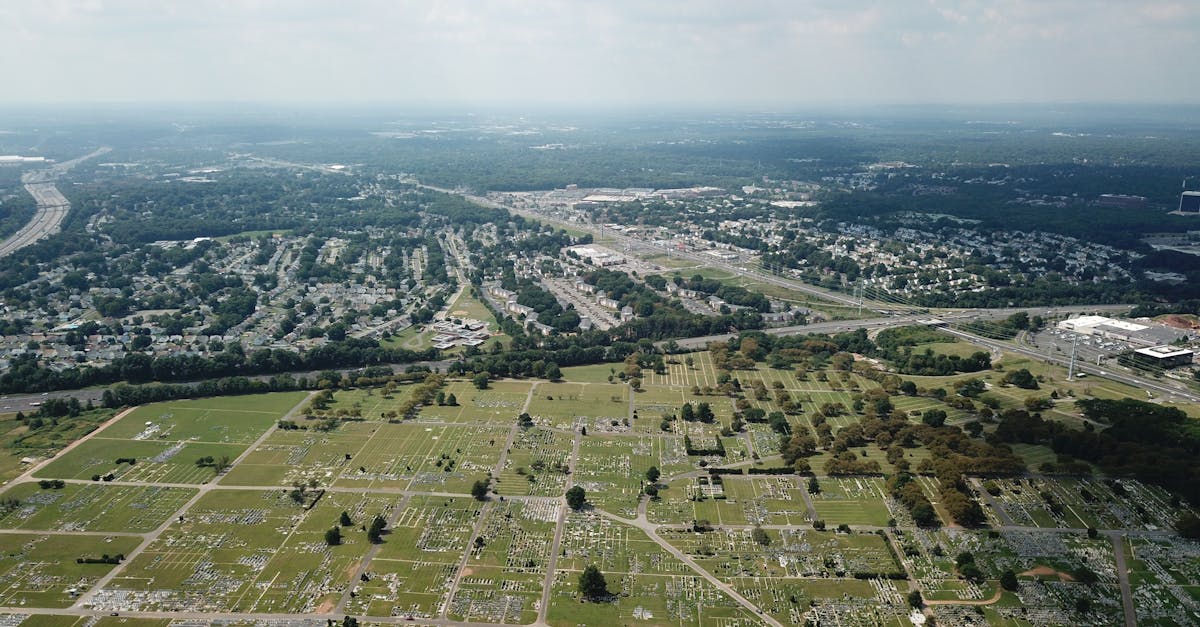 How do home stagers make money?