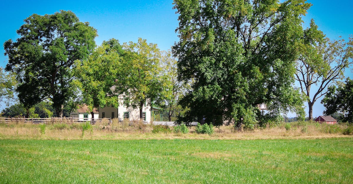 How much do home stagers charge per hour?