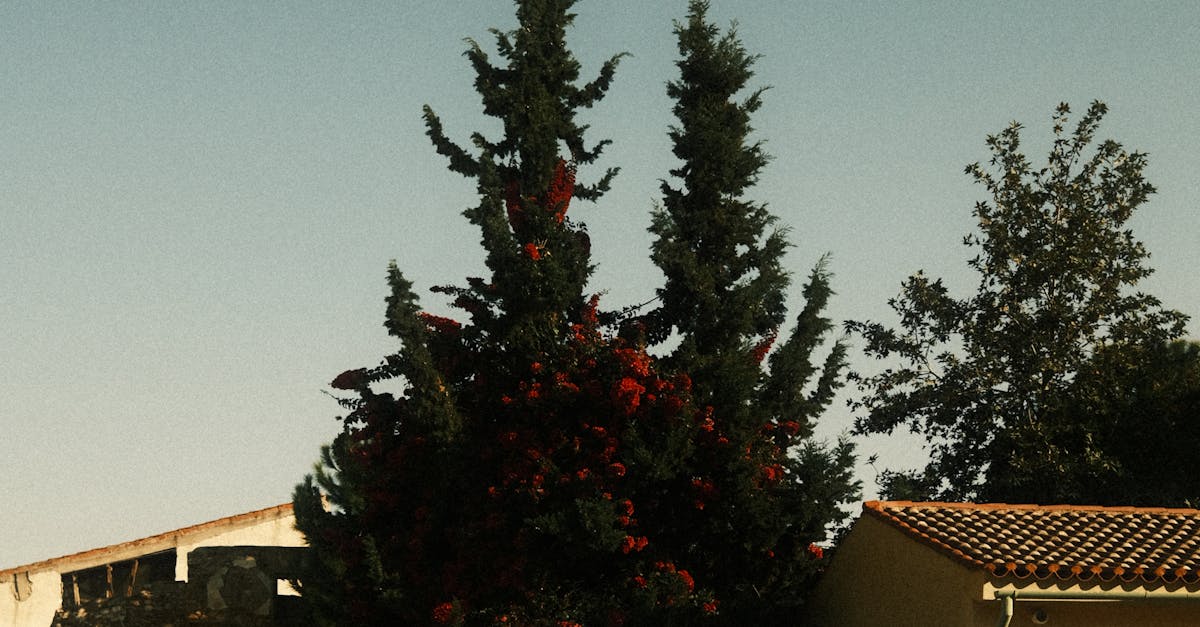 When not to stage a house?